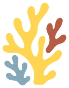 Coral 360 Logo